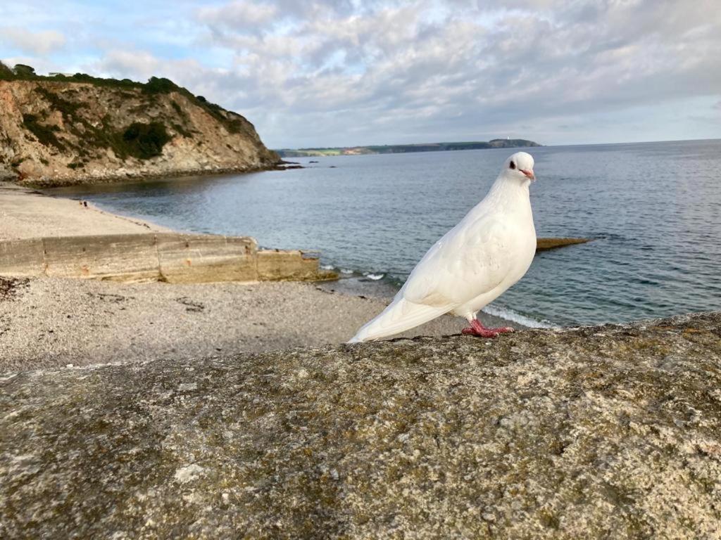 Stunning Apartment, Balconies, Private Beach, Coast Path Charlestown (Cornwall) Zewnętrze zdjęcie